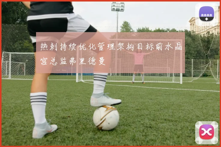 热刺持续优化管理架构目标前水晶宫总监弗里德曼